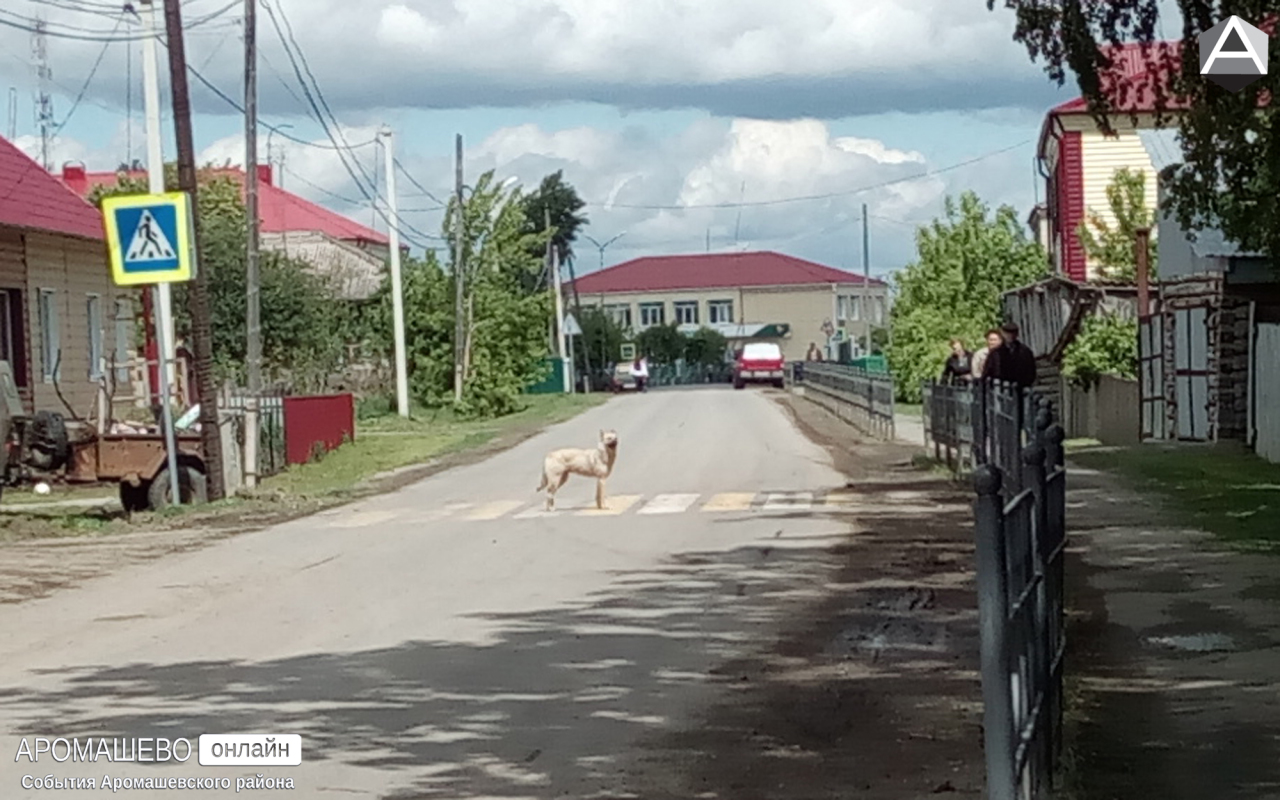 Село аромашево тюменской области фото